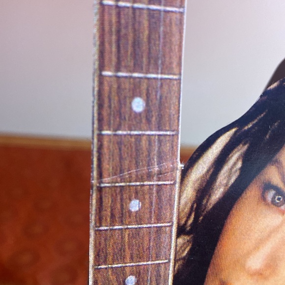 Shania Twain tabletop Standee Cardboard Display - Picture 9 of 9